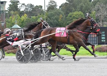 Chapheart captures Saratoga feature