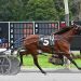 Hennessy historic with five wins at Saratoga