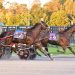 Soul Assassin grinds out Open win Saturday