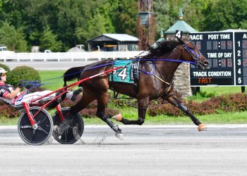 Andova Contessa takes Open Handicap Trot