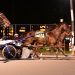 Saratoga Open won in upset by 15-1 longshot