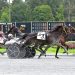 Always Watching goes coast-to-coast in Saratoga feature