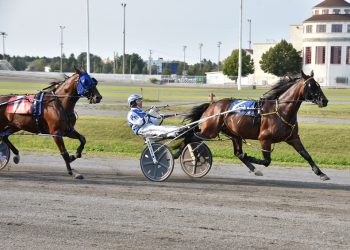 Front end holds up in Hippodrome 3R features