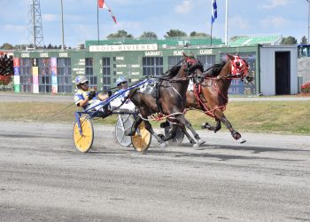 Three straight scores for Kingston Panic