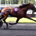 World record set in Criterium tests at Vincennes