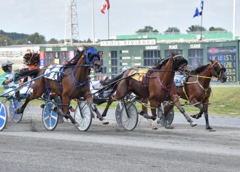  Ladycorona sees win streak end at Hippodrome 3R