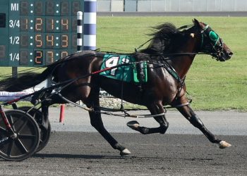 World and track records set in PASS Finals