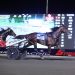 Alrajah One IT heads for Dayton Trotting Derby