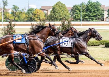 Arson impresses in Kentucky Goldenrod Series