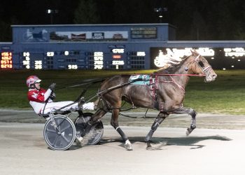 Celebrity Pegasus, Artistic Cut best at Northville