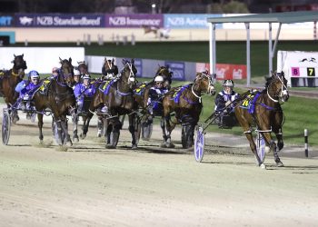 B D Joe begins NZ Cup campaign on perfect note