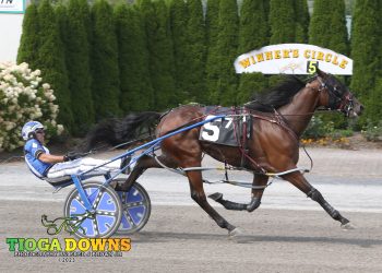 Bluesville best at Tioga