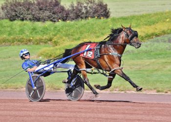Big weekend of stakes racing at Pocono