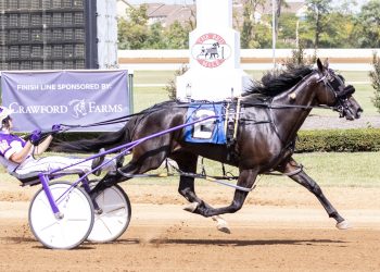 Dancin Champion upsets, Allegiant flies to the winner’s circle at Red Mile