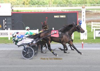 Impressive performers in Massachusetts Sire Stakes