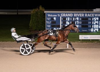 Distant Lover impresses in third straight