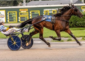 Top performers take Excelsior finals