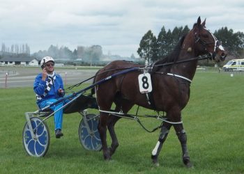 Dreams Are Free impresses