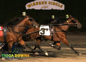 Executive Game stars in Reynolds