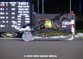 Fashion Frenzie bounces back on home soil