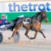 Vicbred Super Series trotting double 1 Vicbred Super Series trotting double