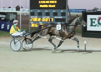 Goodtime Sammy to Spurrs Stud