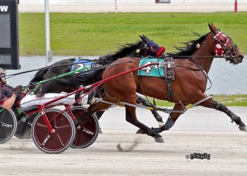 Hey Hey Mama one to watch in Jugette