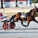 Itsrockandroll A wins sixth straight at Harrington