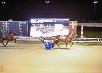 Ain’t She Special proves to be special