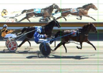 Classy win on debut by Miss High Fashion