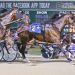 Harrah's Hoosier Park Grand Circuit undercard for Friday 2