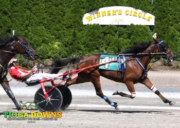 PL Notsonice digs in to win top trot