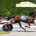 PL Notsonice digs in to win top trot 3 PL Notsonice digs in to win top trot