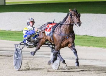 Weekly spotlight on breeding