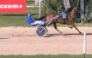 Days Of Thunder takes Jozsef Marschall Memorial