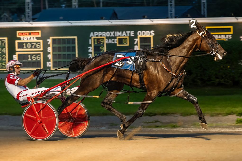 $440,000 NYSS Excelsior Finals At Batavia - Harnesslink