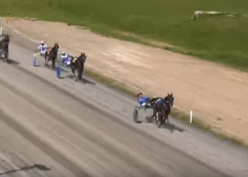 Top East Coast rookies destroy Woodstock records