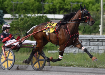 Crossfit by a head at Rideau