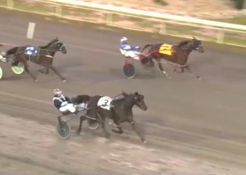 Ontario shipper wins first Alberta Preferred