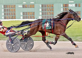 Spaaaanzano seeks to rebound in $420,000 Haughton