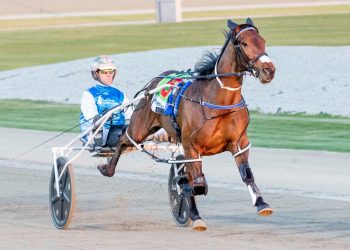 Weekly spotlight on breeding