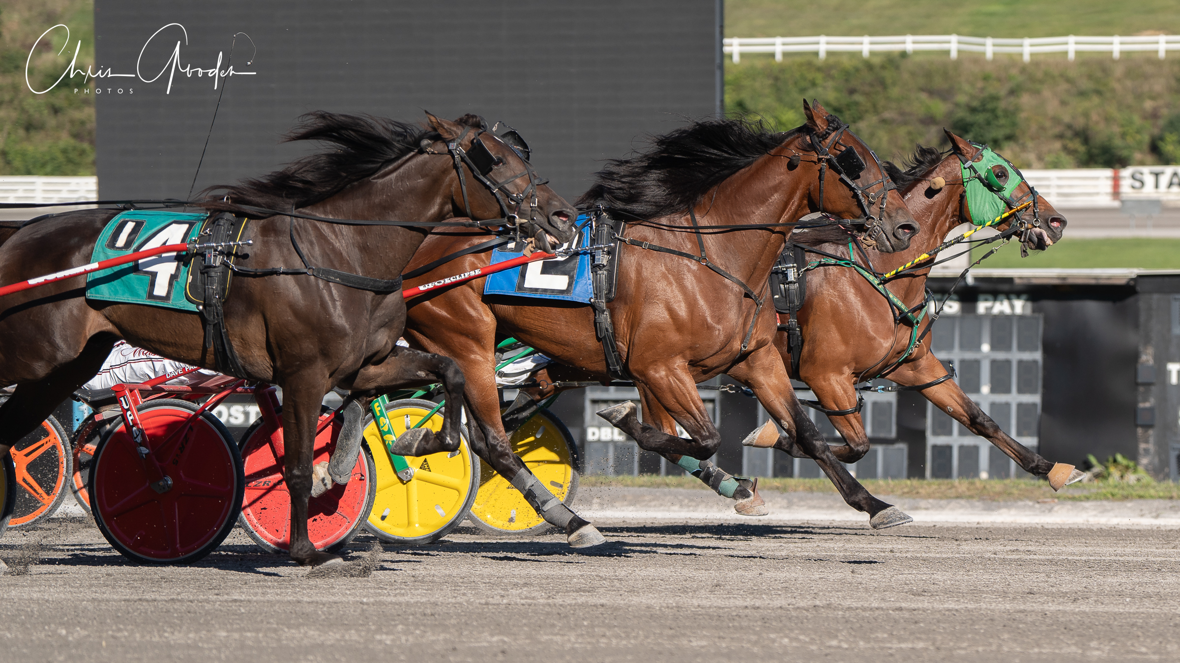 Black Hope captures third straight in Meadows feature 1