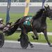 Elite Free-For-Allers to battle in $250,000 Spirit of Massachusetts 3 Elite Free-For-Allers to battle in $250,000 Spirit of Massachusetts