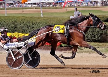 Wrenn wins Buckette for second straight year