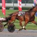 Huntinthelastdolar too good in $263,000 Juravinski Memorial 2 Three upsets in four New York Sire Stakes finals