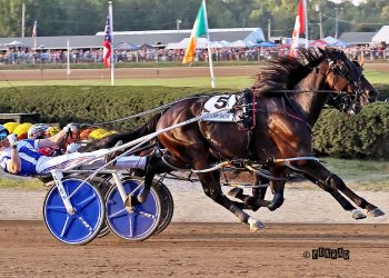It’s My Show upsets in $1 million Little Brown Jug