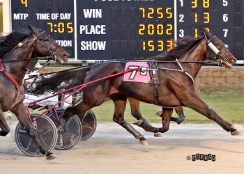 Martysmagicmoment pulls rabbit out for Dayton win