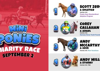 Meadowlands welcomes mini ponies this weekend