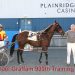 Trainer Mike Graffam gets 900th win at Plainridge