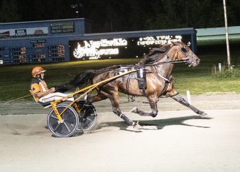 Herecomescharlie B comes close to track record